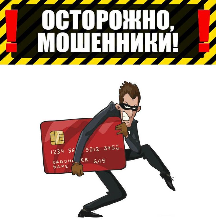 9zkign9q6zi.jpg